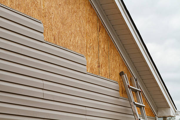 Professional Wood Siding technician working in Clinton, IN